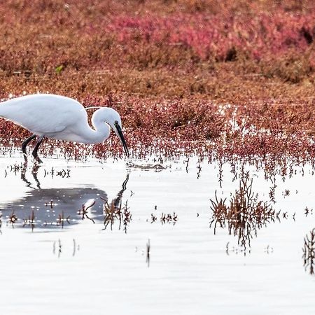 Heerenkeet 4 Pers Appartement Aan De Oosterschelde Kerkwerve Exteriör bild