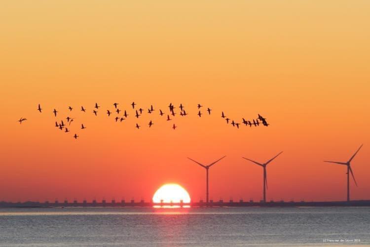 Heerenkeet 4 Pers Appartement Aan De Oosterschelde Kerkwerve Exteriör bild